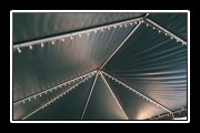 G40 Bistro lights in outdoor tent
(in daytime during setup)
