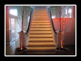 Staircase with accent lighting	