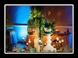 Centerpiece pinspotting - photo by Christopher Breedlove Photography